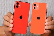 iPhone 12 mini bản Hàn Quốc có giá rẻ về Việt Nam