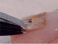 Dubai giới thiệu vi chip gắn trên móng tay có chức năng lưu trữ dữ liệu